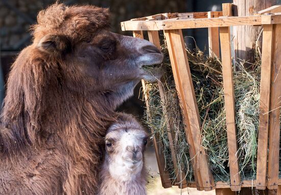 Виды Казахстана