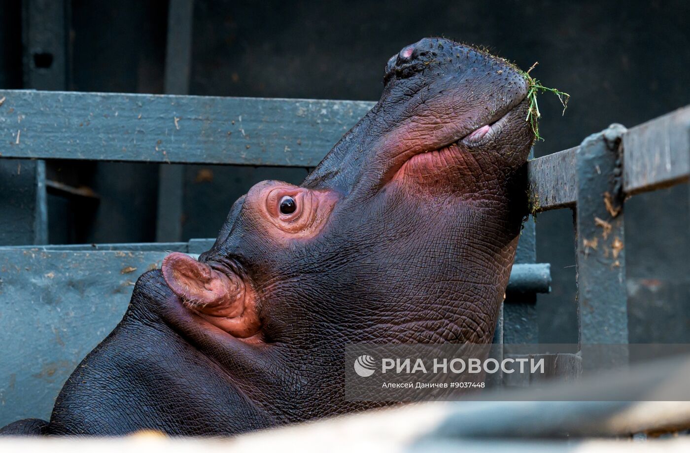 Виды Казахстана