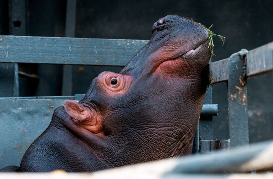 Виды Казахстана
