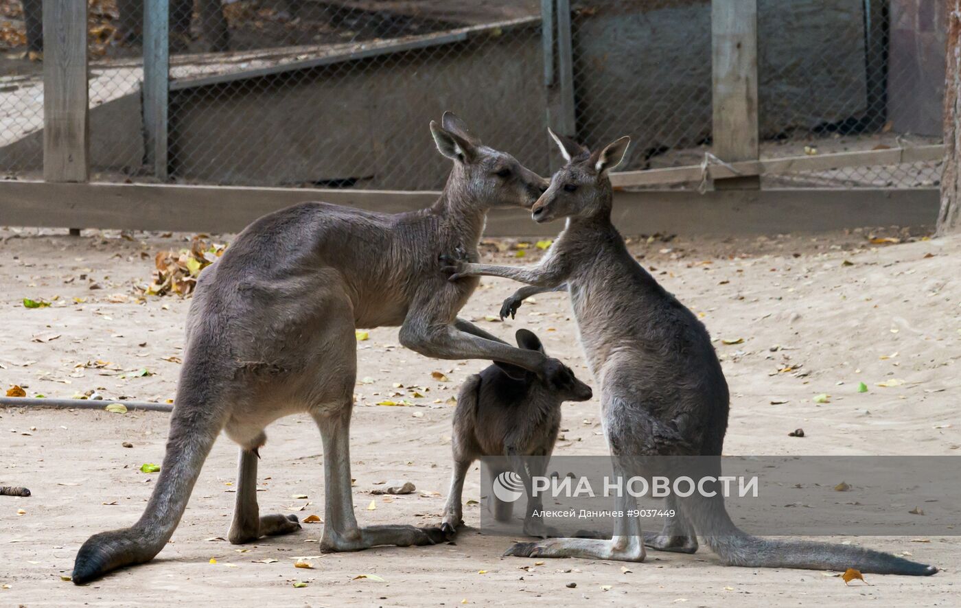 Виды Казахстана