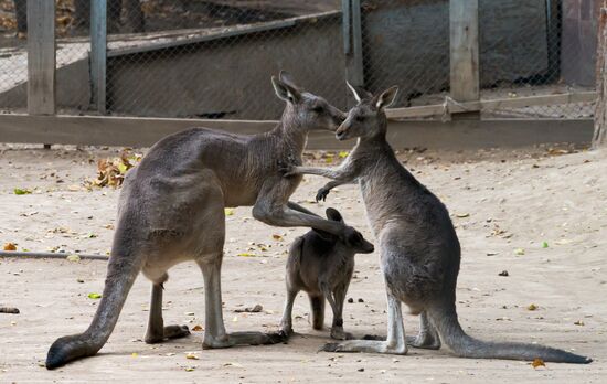 Виды Казахстана