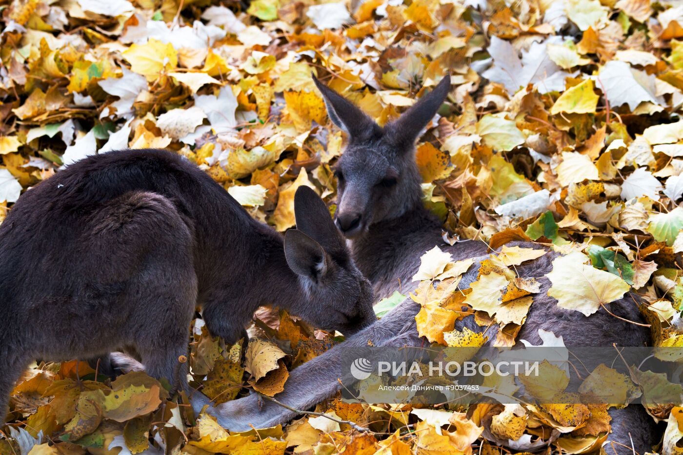 Виды Казахстана