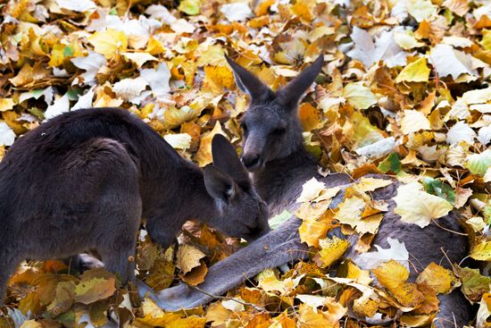 Виды Казахстана