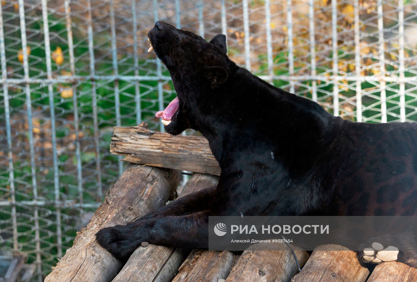 Виды Казахстана