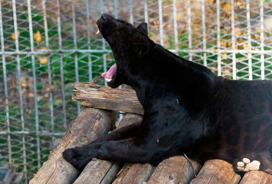 Виды Казахстана