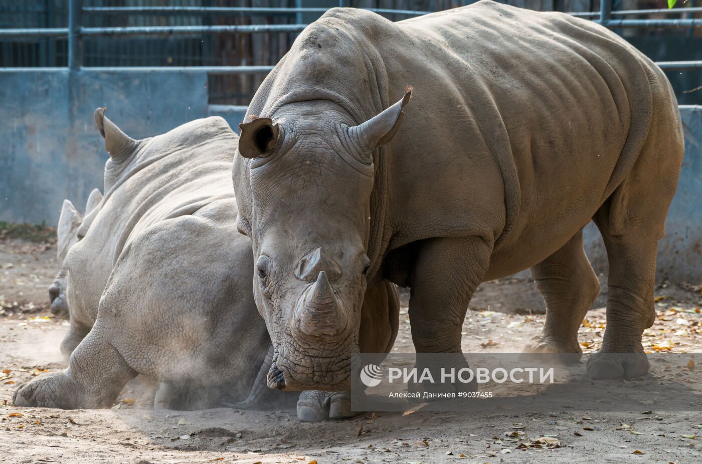 Виды Казахстана