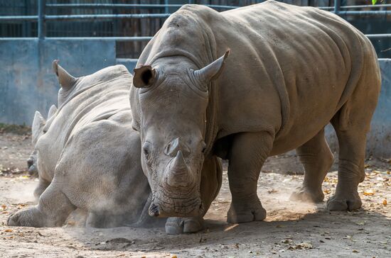 Виды Казахстана