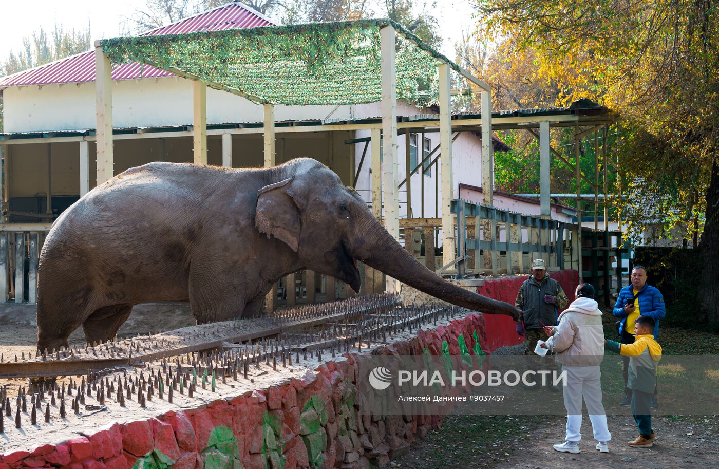 Виды Казахстана