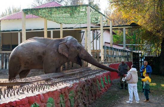 Виды Казахстана