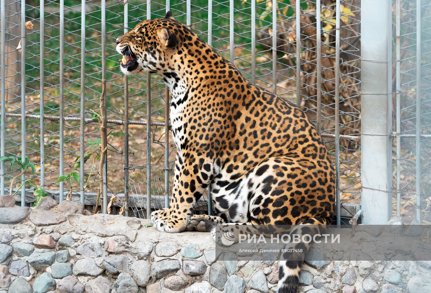 Виды Казахстана