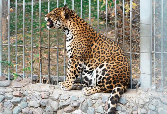 Виды Казахстана