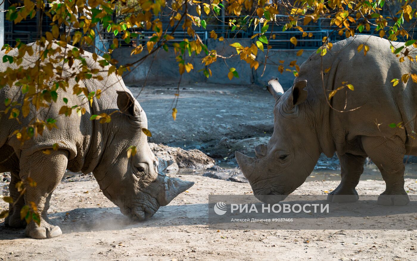 Виды Казахстана