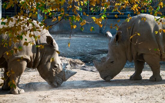 Виды Казахстана