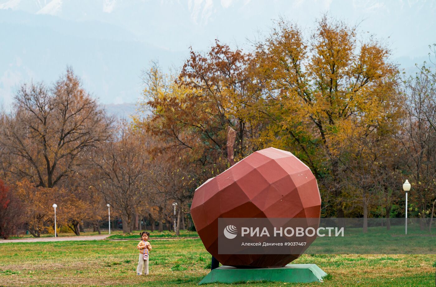 Виды Казахстана