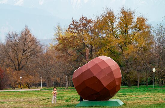 Виды Казахстана