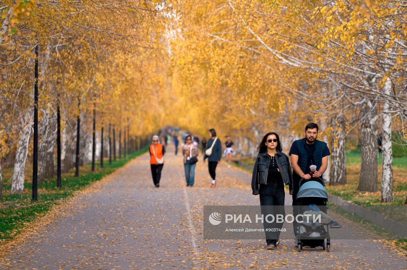 Виды Казахстана