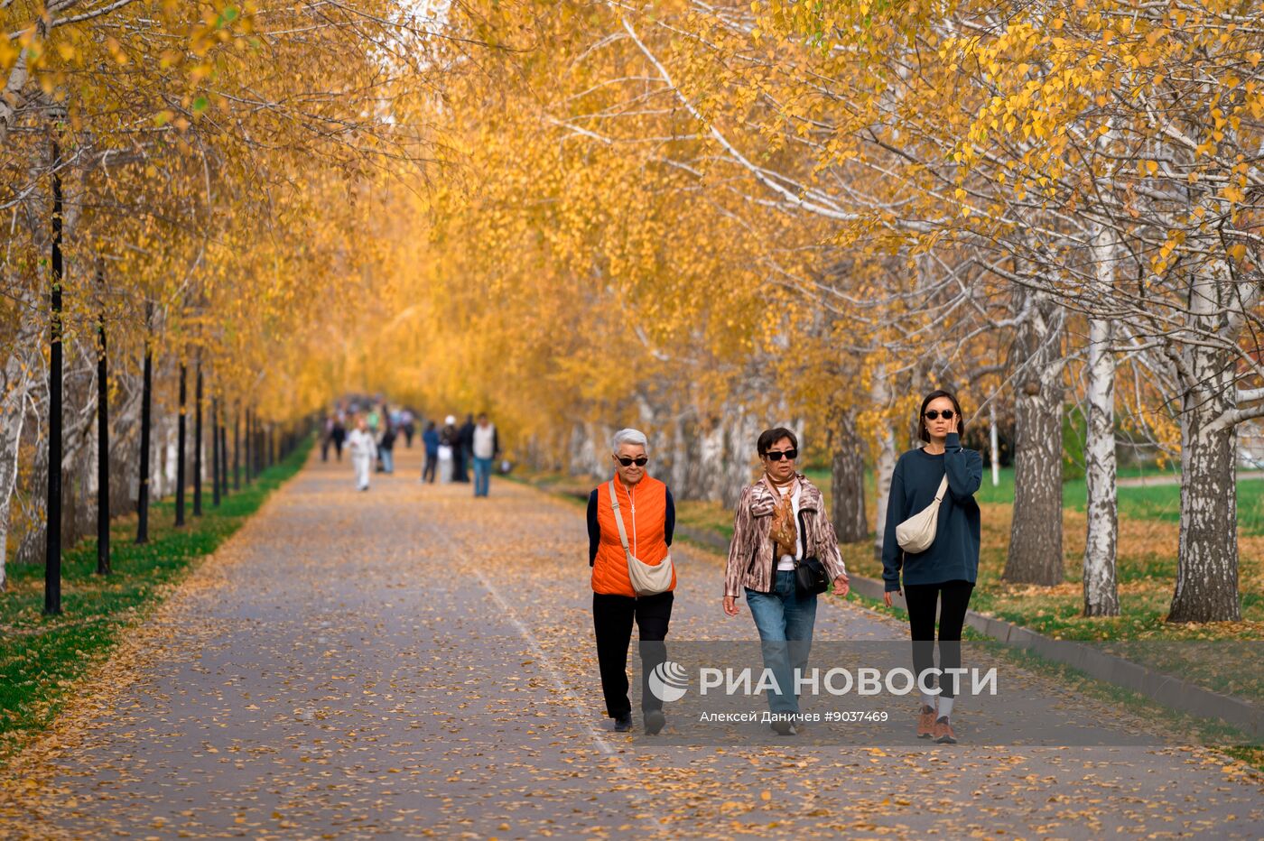 Виды Казахстана