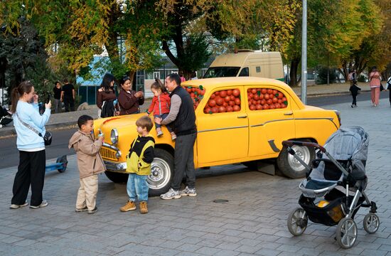 Виды Казахстана