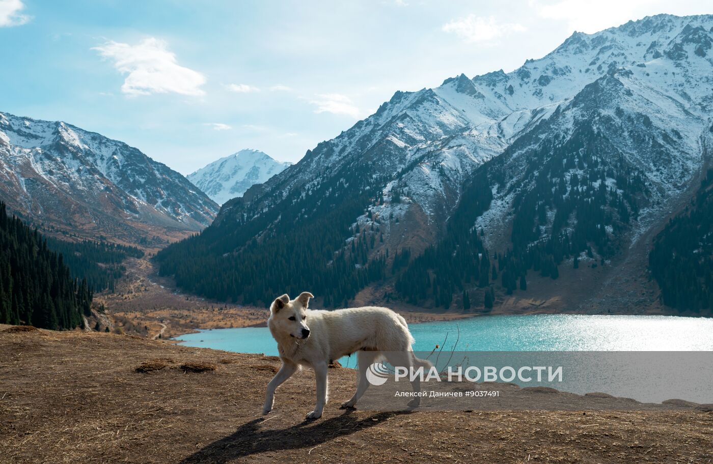 Виды Казахстана