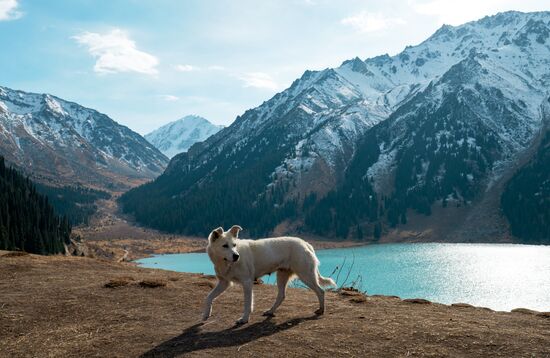 Виды Казахстана