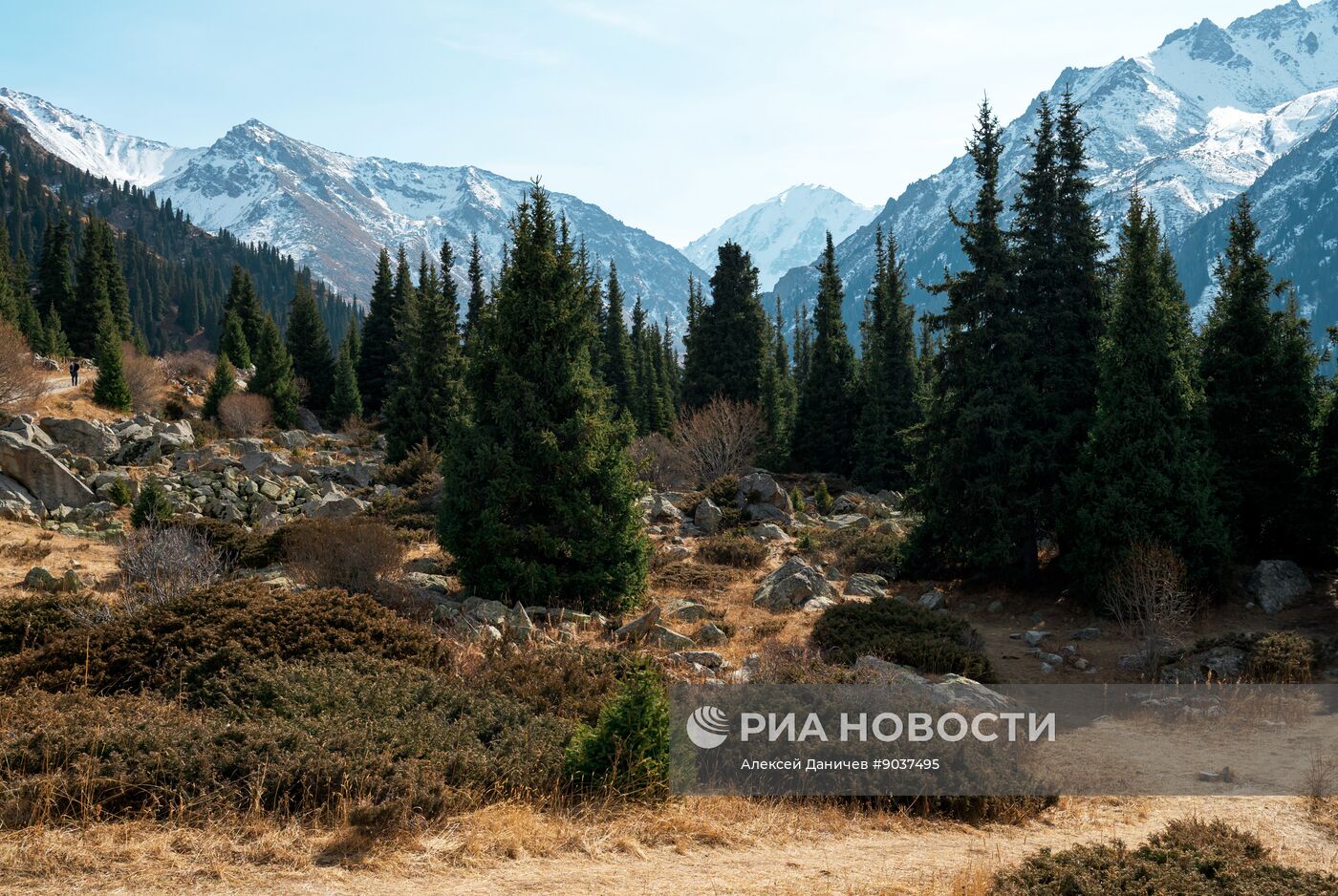 Виды Казахстана