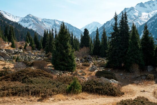 Виды Казахстана