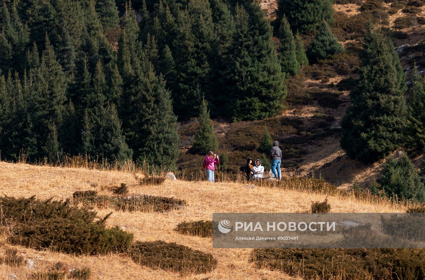 Виды Казахстана