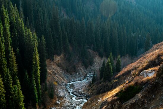 Виды Казахстана