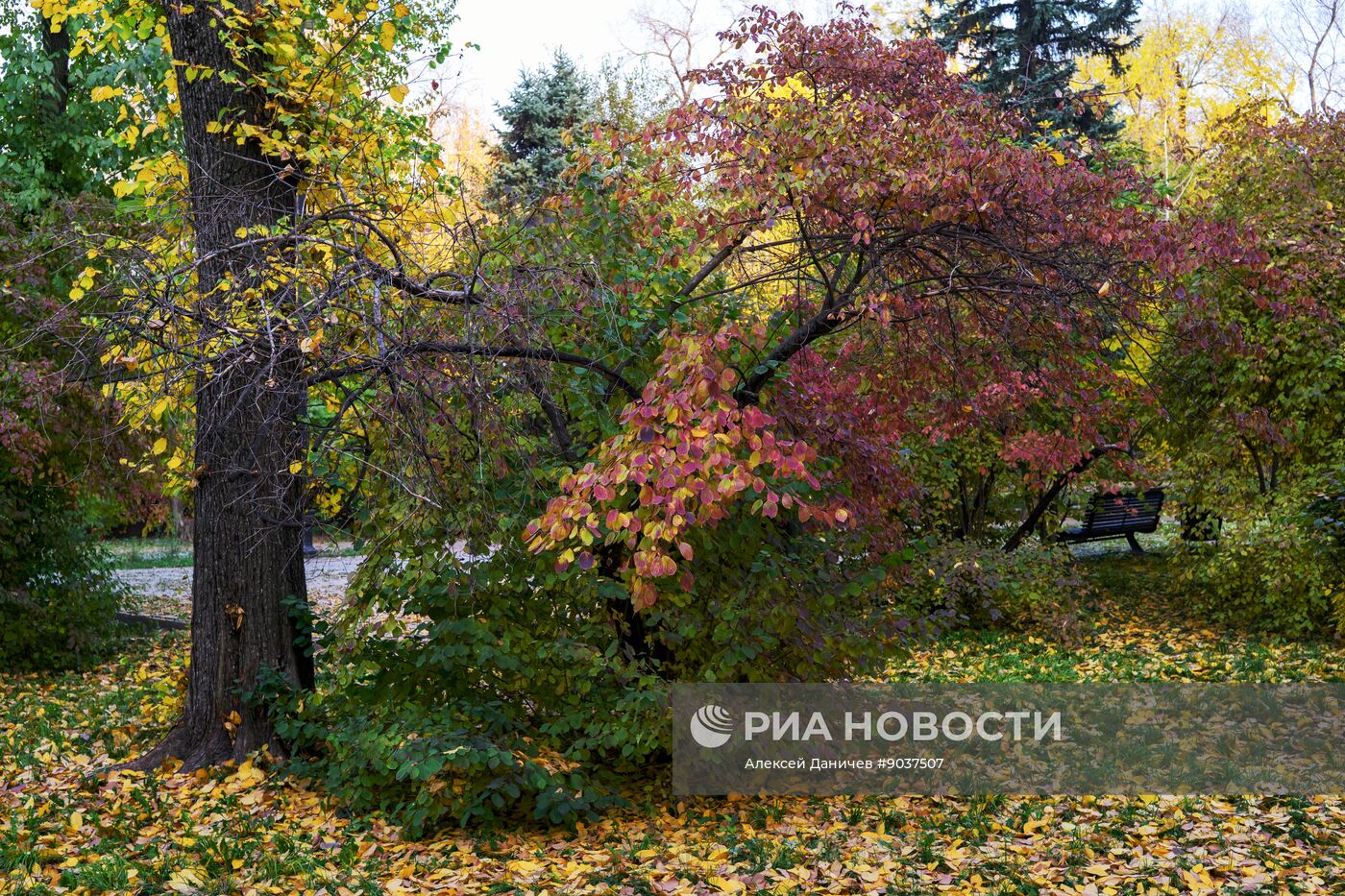 Виды Казахстана