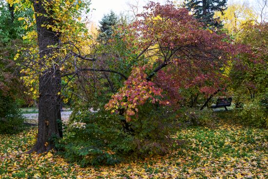 Виды Казахстана