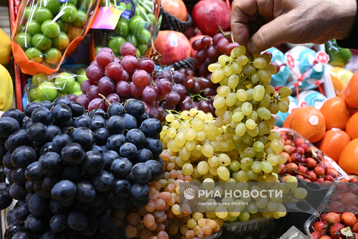 Продуктовый рынок "Фуд Сити" в Москве