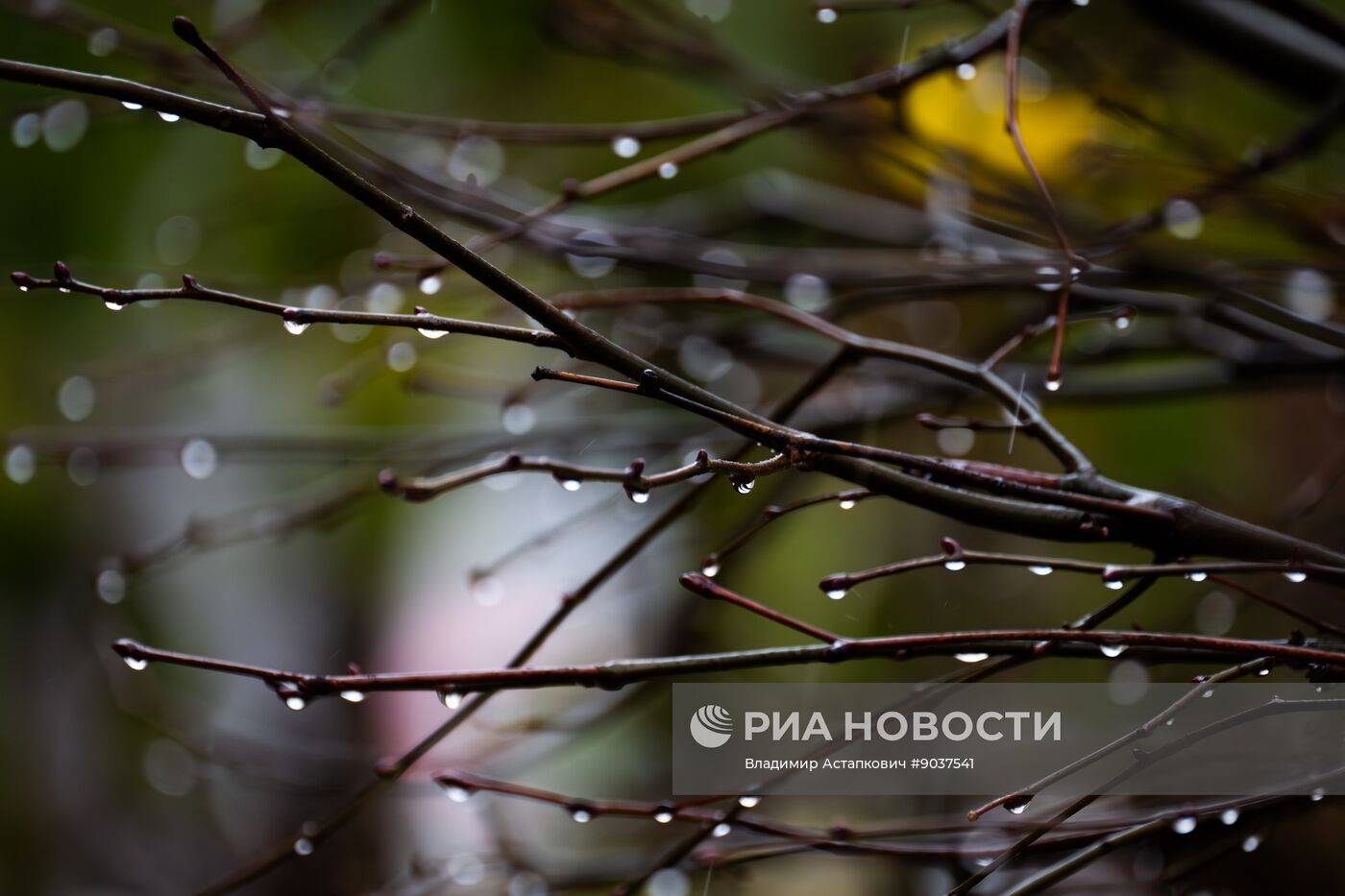 Дождь в Москве