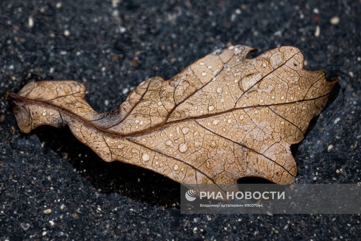 Дождь в Москве