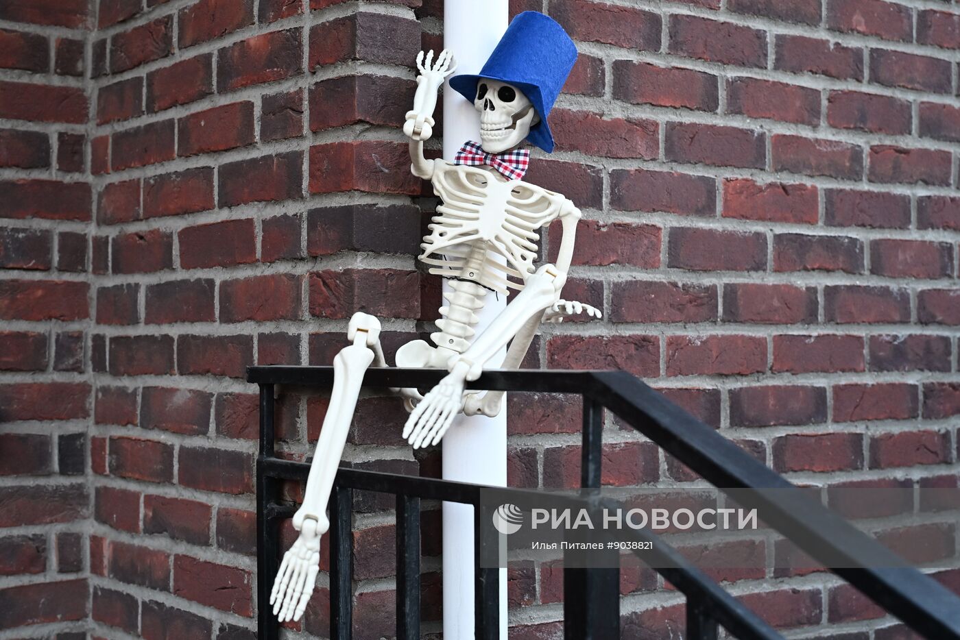 Празднование Тыквенного спаса в Московской области