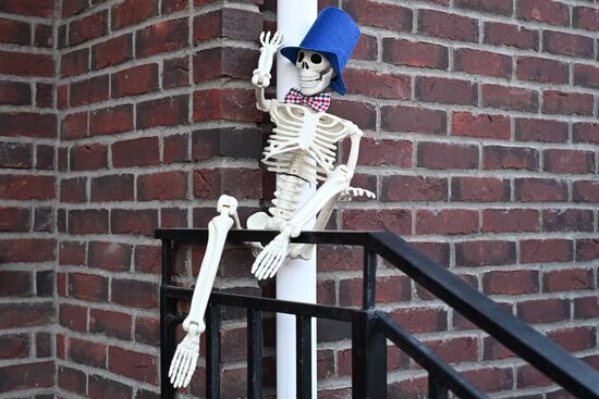 Празднование Тыквенного спаса в Московской области