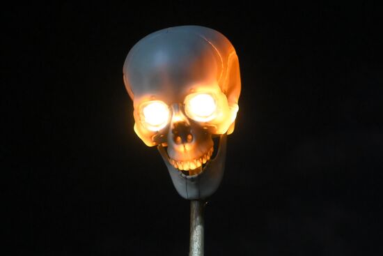 Празднование Тыквенного спаса в Московской области