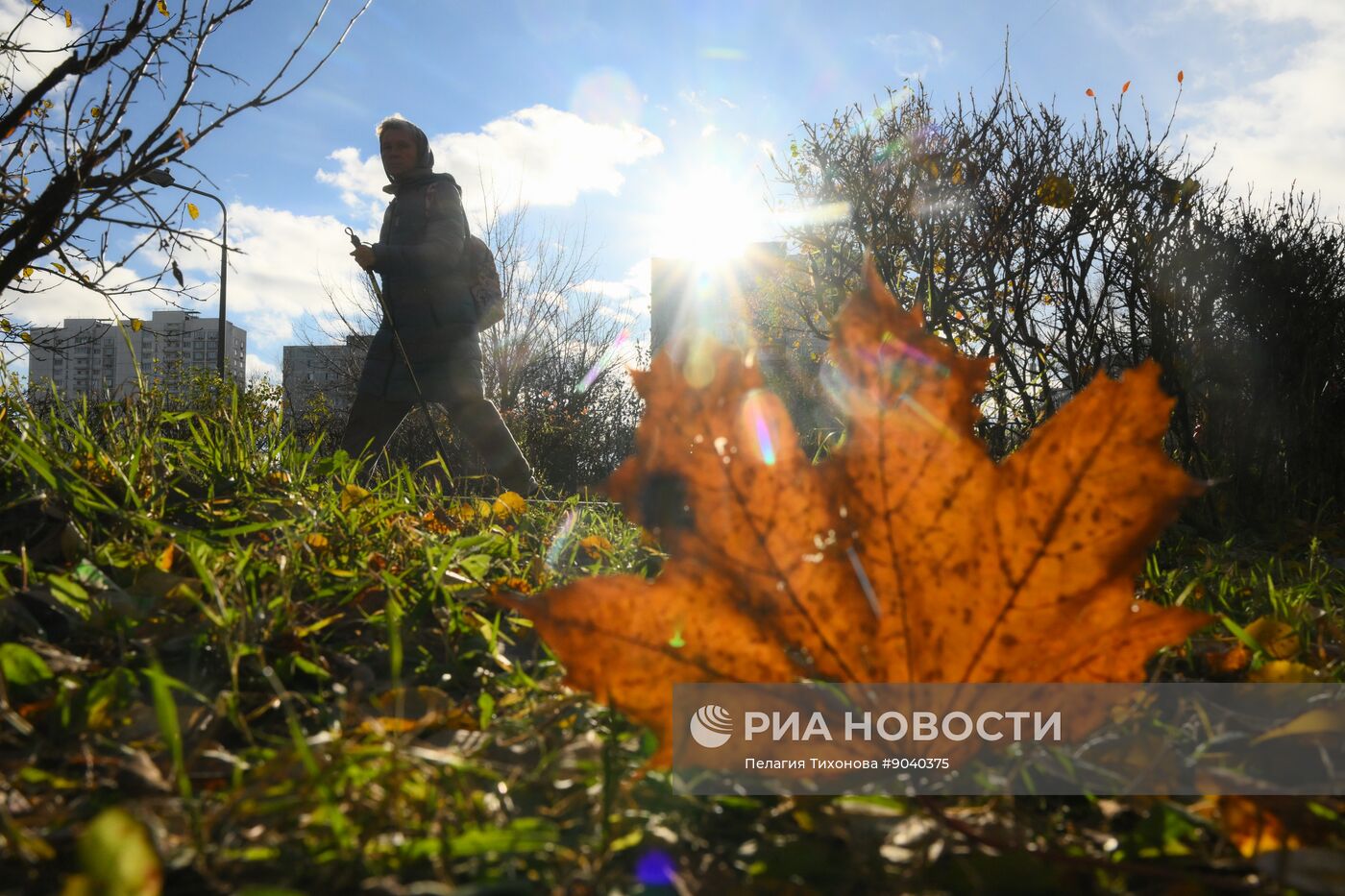 Повседневная жизнь