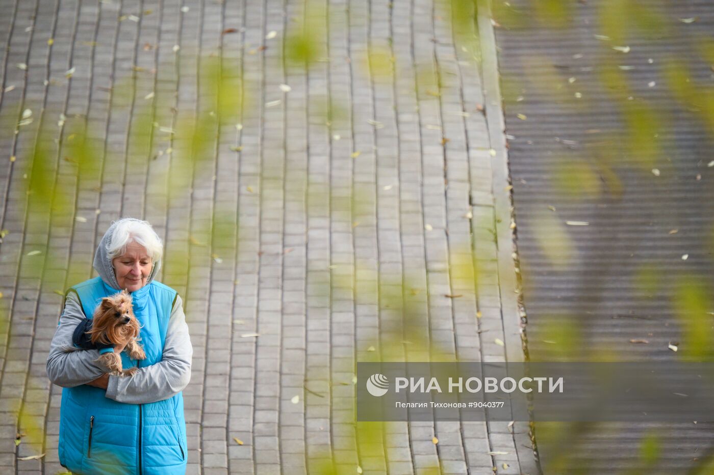 Повседневная жизнь