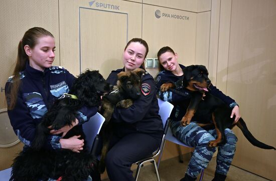 П/к, приуроченная ко Дню сотрудника органов внутренних дел