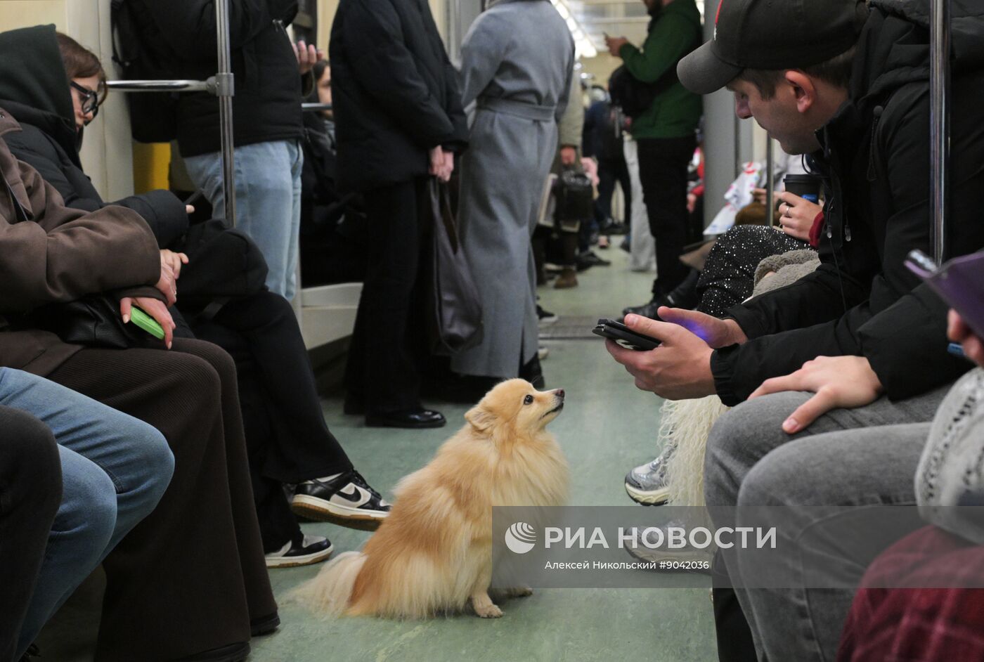 Повседневная жизнь
