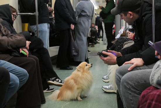 Повседневная жизнь