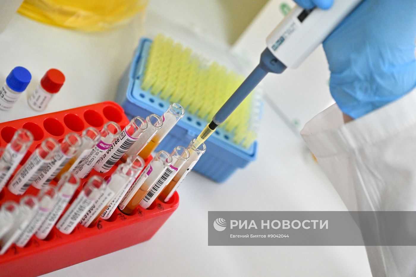 Обучение студентов Пироговском университете 