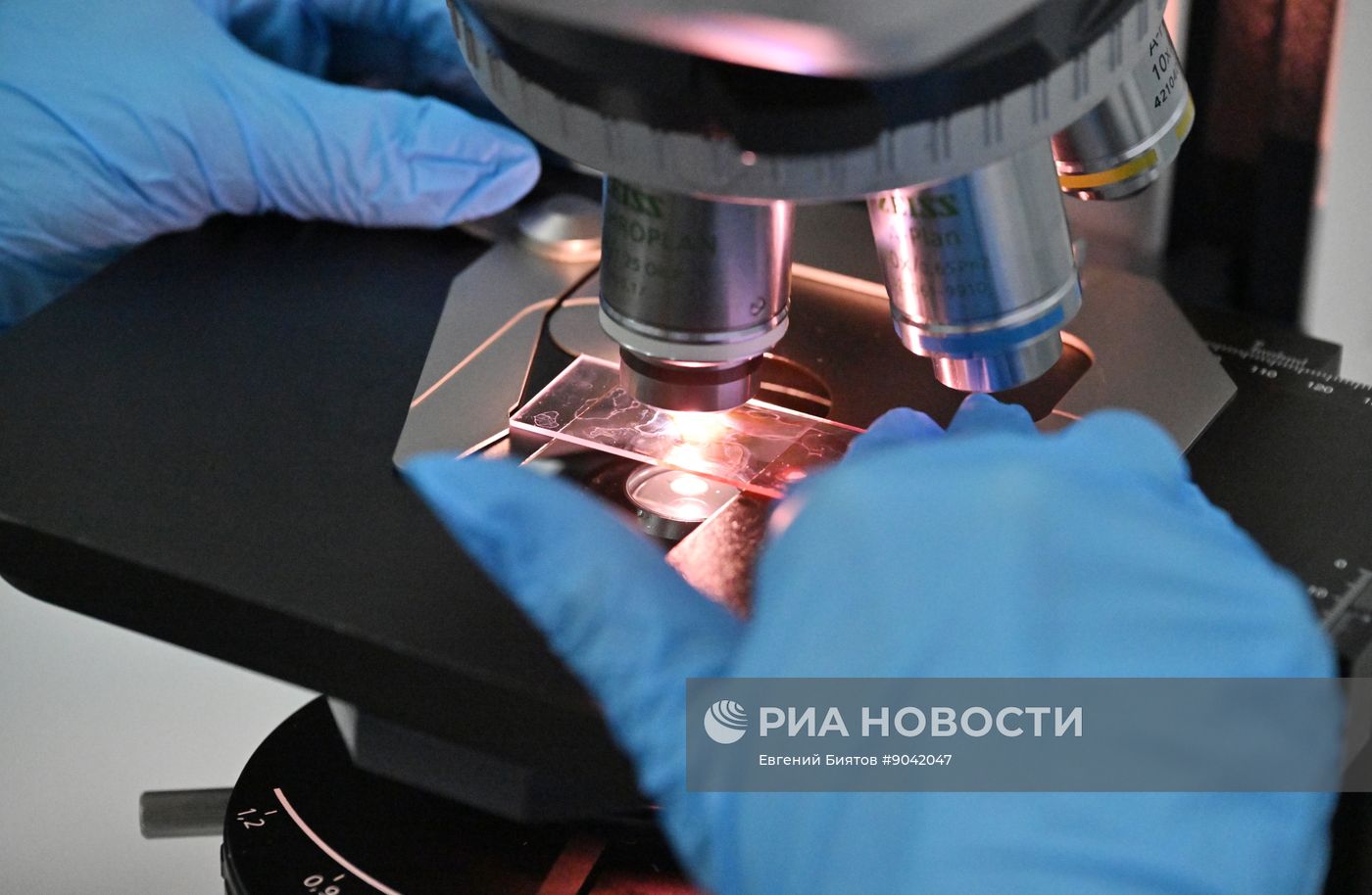 Обучение студентов Пироговском университете 