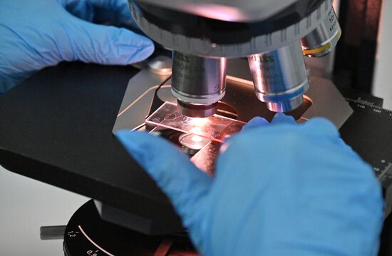 Обучение студентов Пироговском университете 