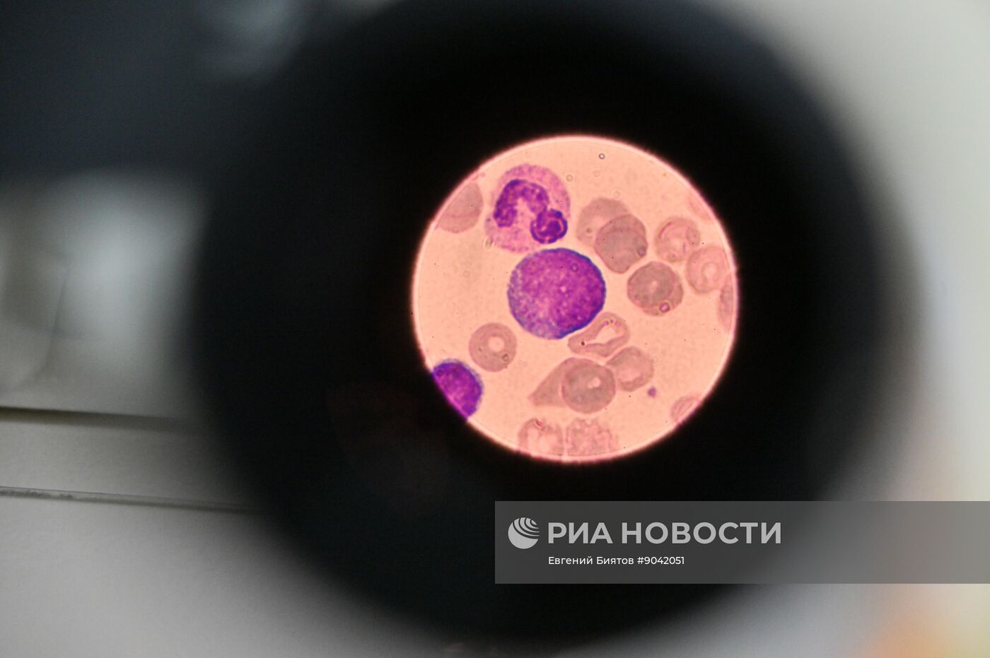 Обучение студентов Пироговском университете