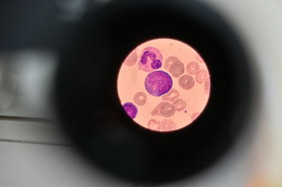 Обучение студентов Пироговском университете 