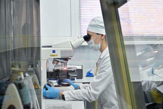 Обучение студентов в Пироговском университете 