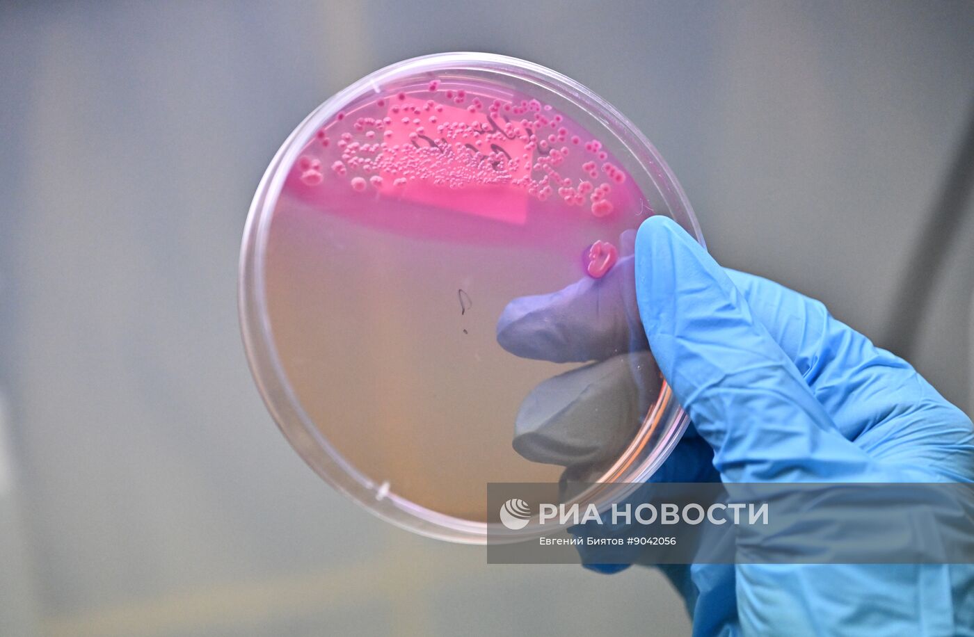 Обучение студентов Пироговском университете