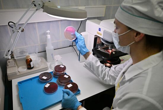 Обучение студентов Пироговском университете 