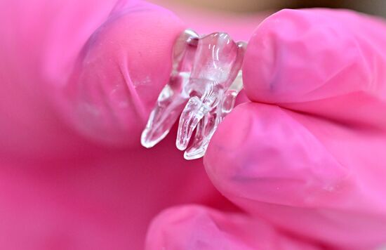 Обучение студентов Пироговском университете 